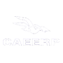 Website Caeerp - Cliente da G4web Agencia de Internet desde 2006.