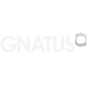 Website Gnatus - Cliente da G4web Agencia de Internet desde 2005.